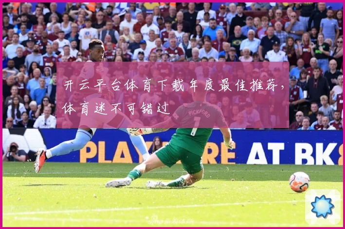 开云平台体育下载年度最佳推荐，体育迷不可错过