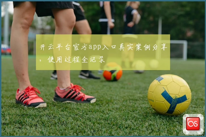 开云平台官方app入口真实案例分享，使用过程全记录