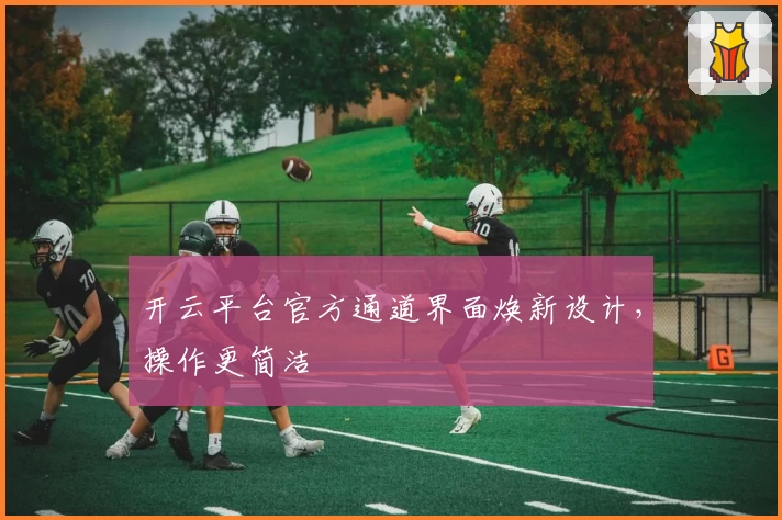 开云平台官方通道界面焕新设计，操作更简洁