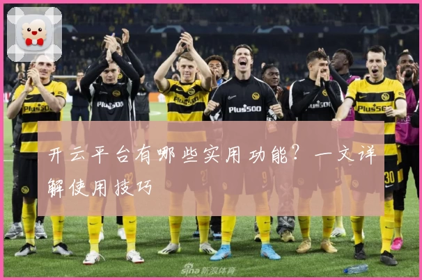 开云平台有哪些实用功能？一文详解使用技巧